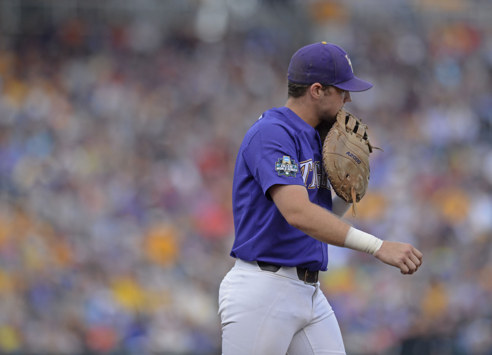 BR.lsuflorida.062817 HS 559.JPG